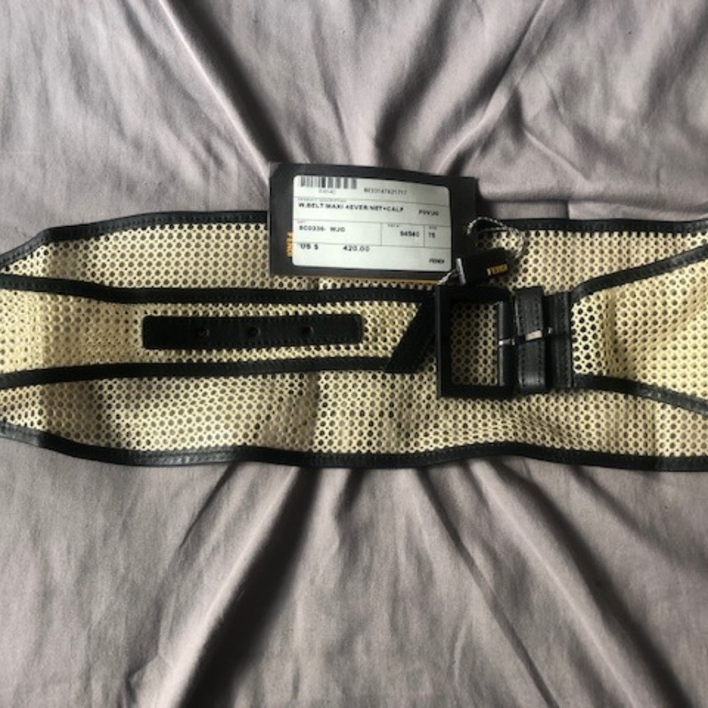 Fendi Wide Mesh Belt w/Leather Trim